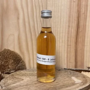 Rebel 100 6yo Beitragsbild