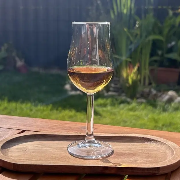 Mehr über den Artikel erfahren Rastal Bugatti Nosingglas im Test: günstiges Tastingglas