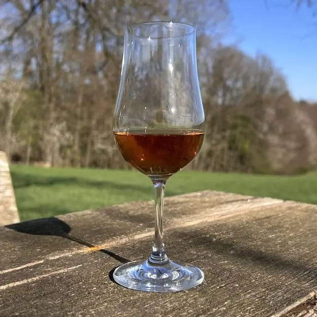 Mehr über den Artikel erfahren Schott Zwiesel Whisky Nosing Glas Bar Special im Test