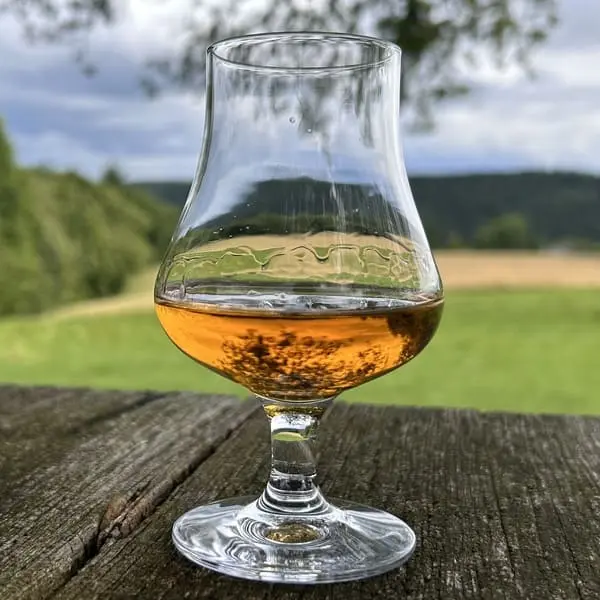 Wild Turkey 101 Rye kräftiger Roggenwhiskey für wenig Geld (2)